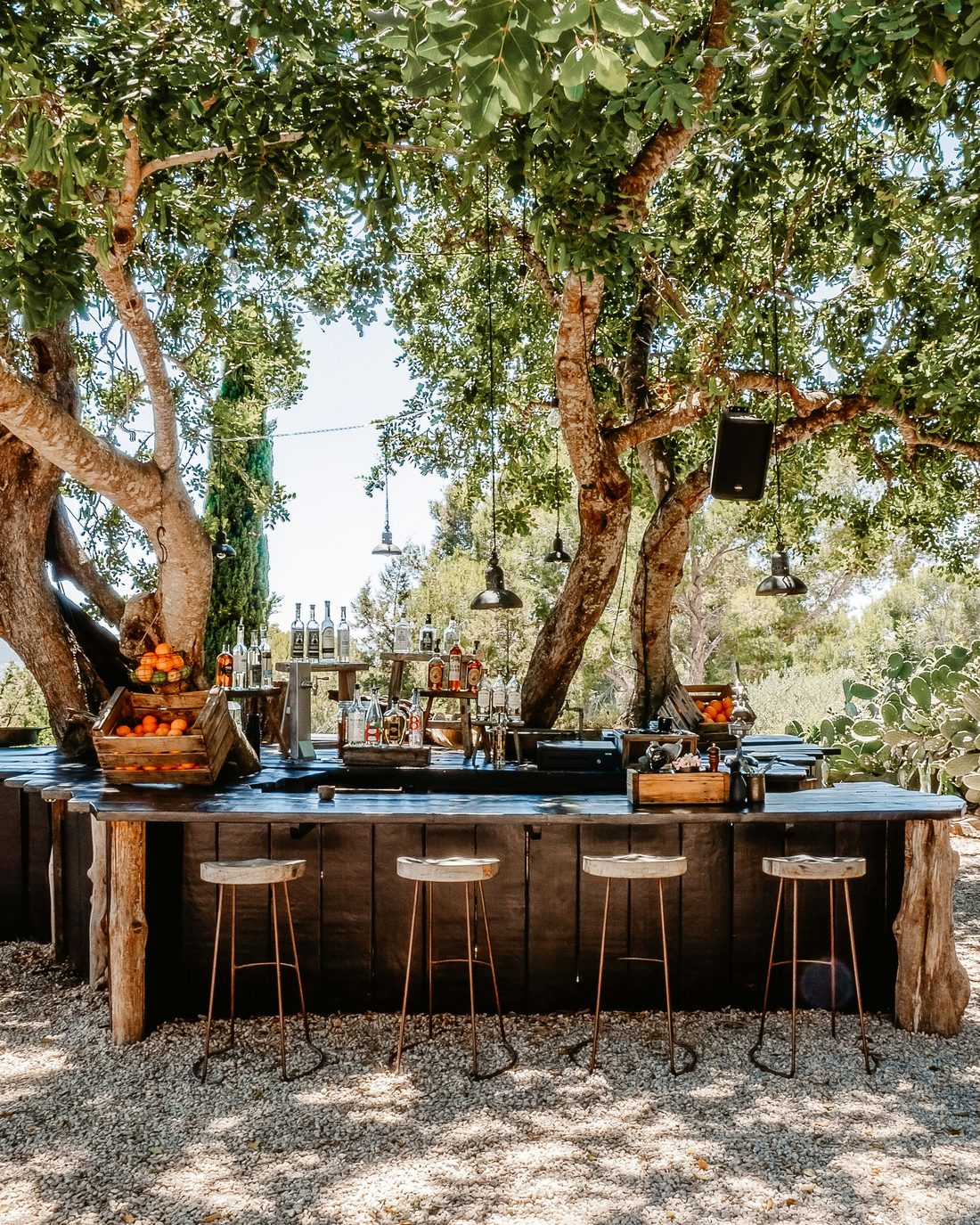 Rustic outdoor bar with stools under a shade tree